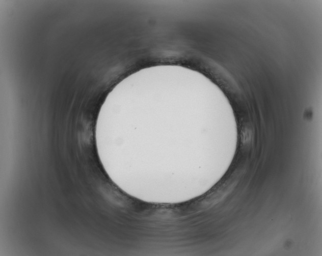 X0000100411204200807032029