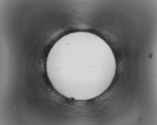 X0000100411205200807032029