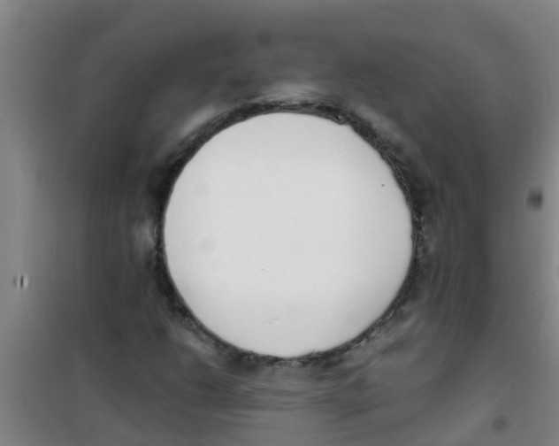 X0000100411206200807032029