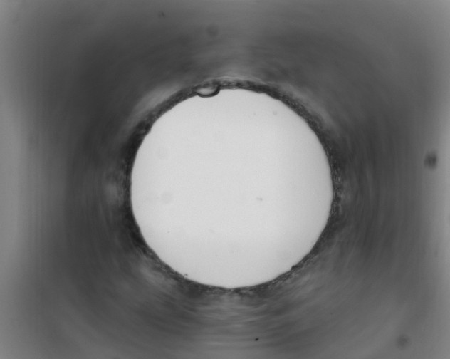 X0000100411207200807032030