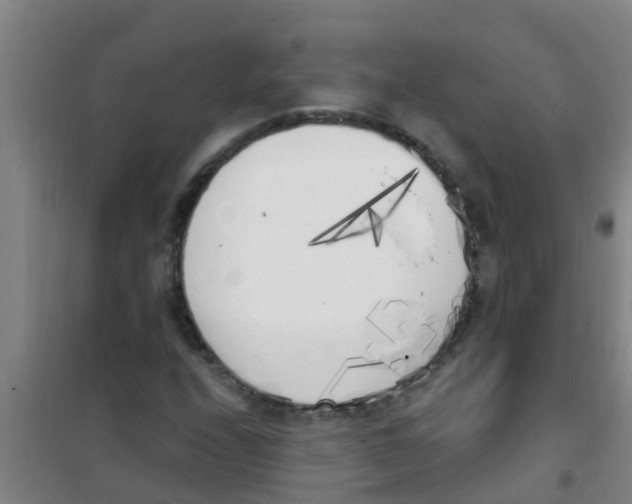 X0000100411208200807032030