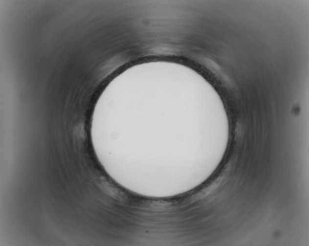 X0000100411209200807032030