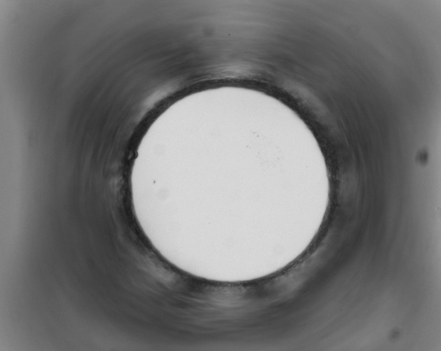 X0000100411210200807032030