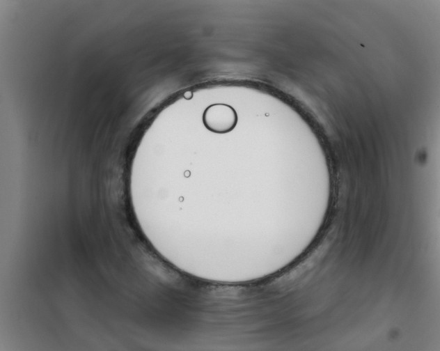 X0000100411211200807032030