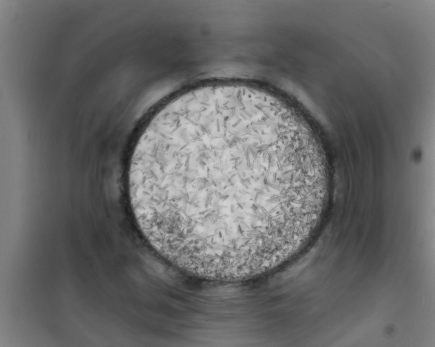 X0000100411213200807032030