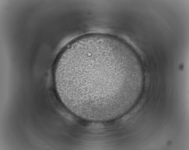 X0000100411215200807032030