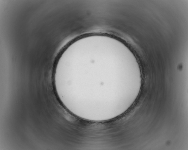 X0000100411216200807032030