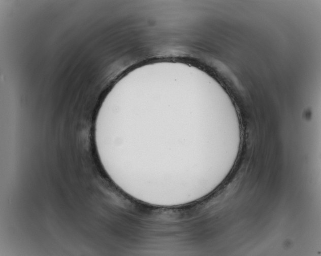 X0000100411217200807032030