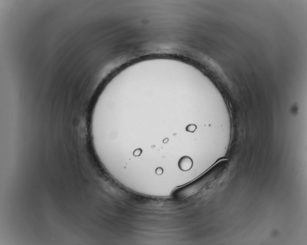X0000100411218200807032030