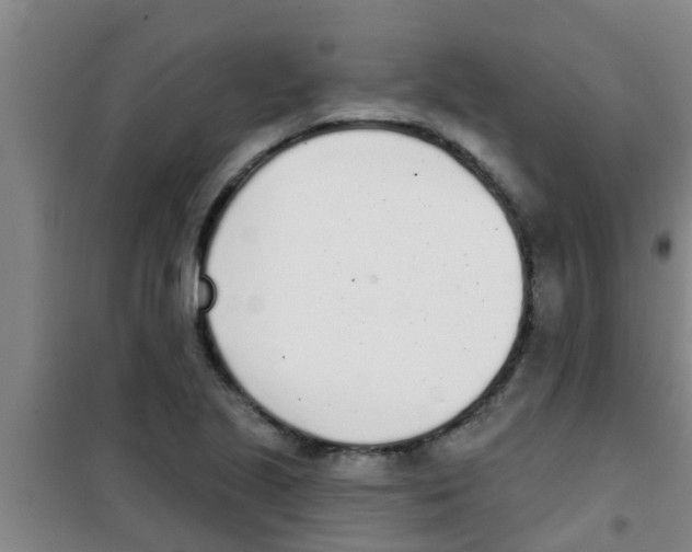X0000100411221200807032030