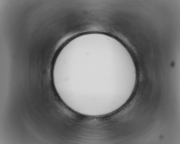 X0000100411222200807032030