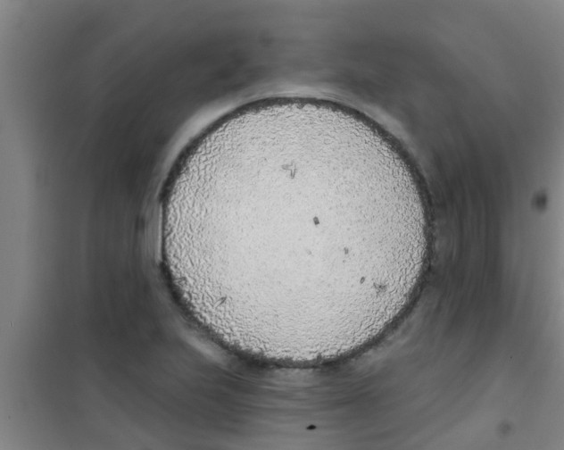 X0000100411223200807032030