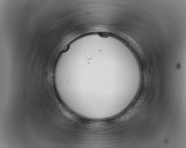 X0000100411225200807032030