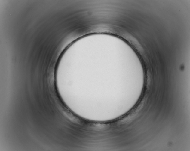 X0000100411226200807032030