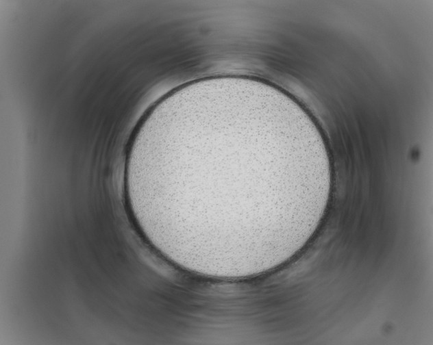 X0000100411227200807032030