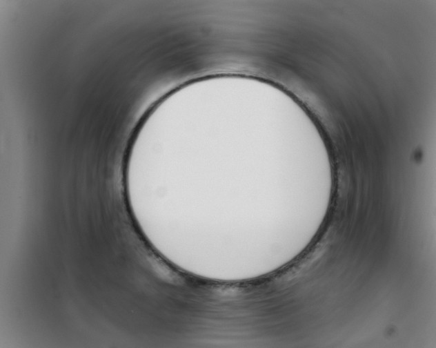 X0000100411230200807032030
