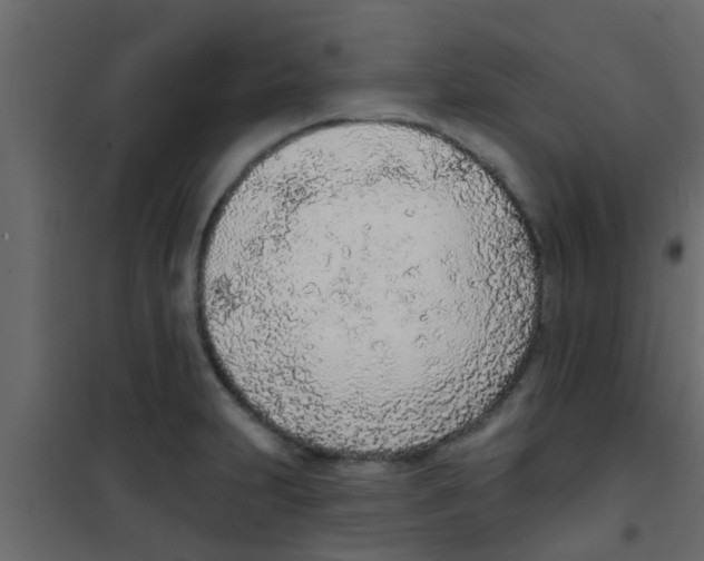 X0000100411231200807032030