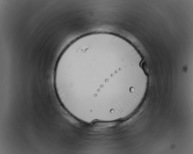 X0000100411232200807032030