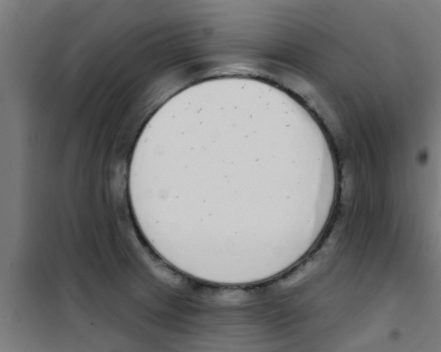 X0000100411233200807032030