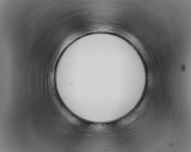 X0000100411234200807032030
