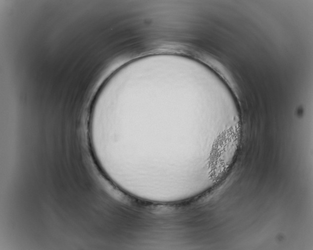X0000100411235200807032030