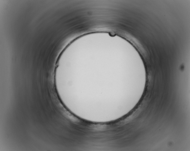 X0000100411236200807032030