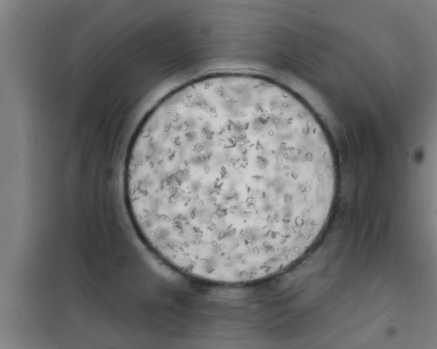 X0000100411237200807032030