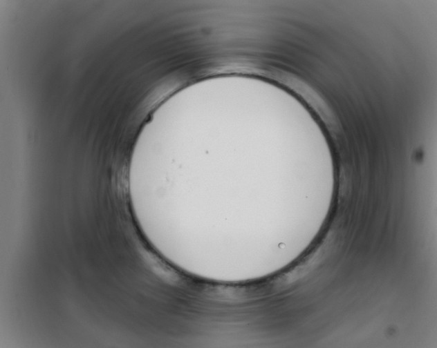 X0000100411241200807032030