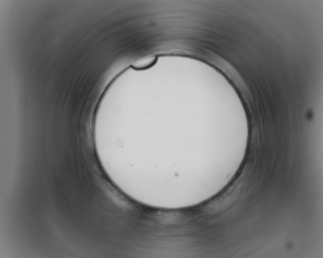 X0000100411242200807032030