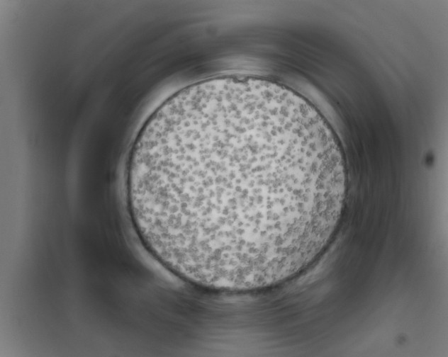 X0000100411243200807032030