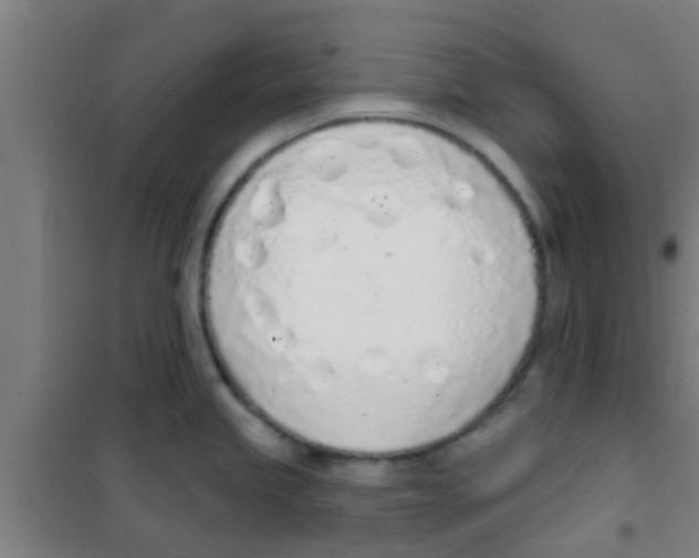 X0000100411245200807032030