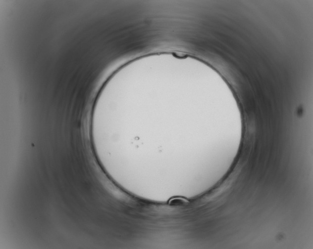 X0000100411246200807032030