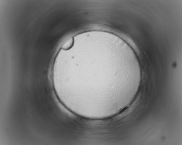 X0000100411247200807032030
