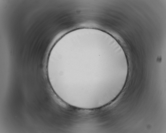 X0000100411248200807032030
