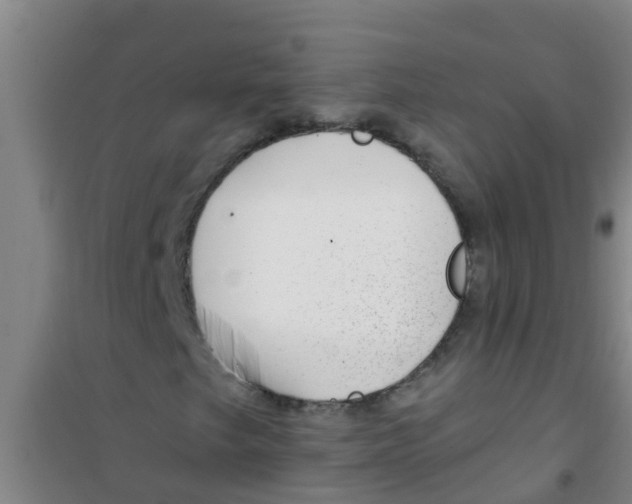 X0000100411249200807032029