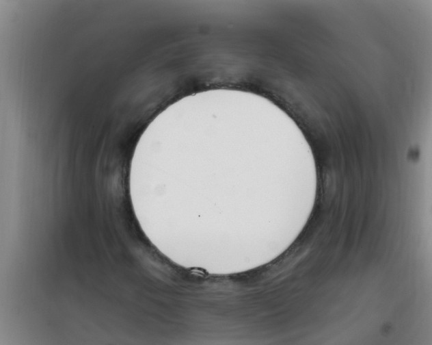 X0000100411250200807032029