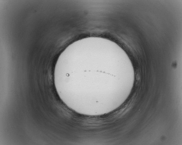 X0000100411252200807032029