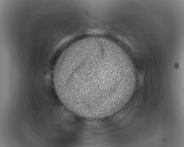 X0000100411254200807032029