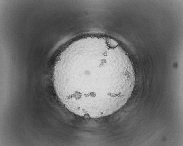 X0000100411255200807032029