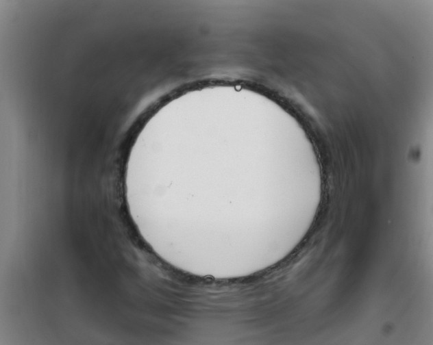 X0000100411256200807032029