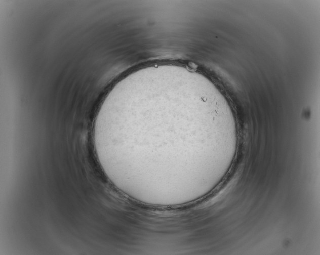 X0000100411257200807032029