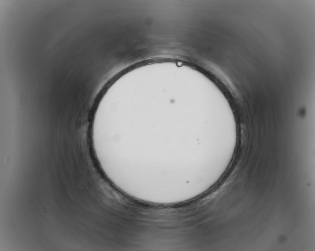 X0000100411260200807032029