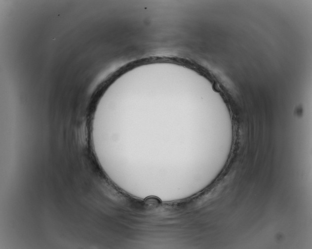 X0000100411262200807032029