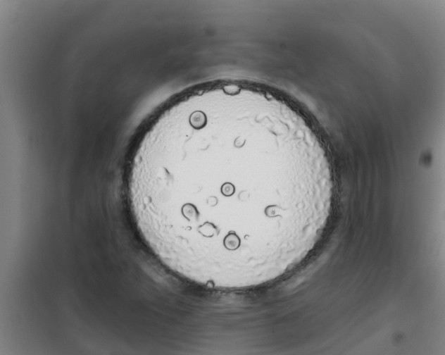 X0000100411263200807032029