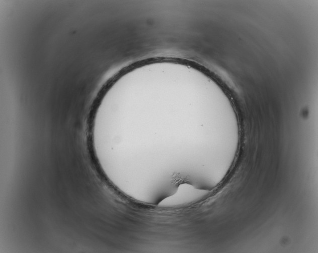 X0000100411264200807032029