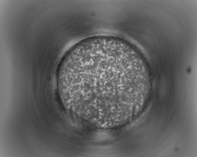 X0000100411267200807032029