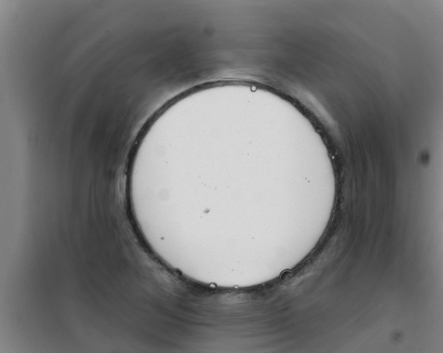 X0000100411268200807032029
