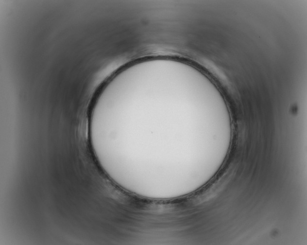 X0000100411269200807032029