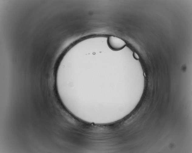 X0000100411270200807032029