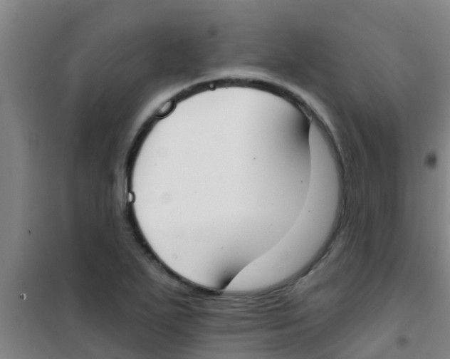 X0000100411271200807032029